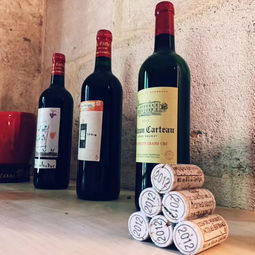 法國(guó)之光2019 法國(guó)葡萄酒探索之旅