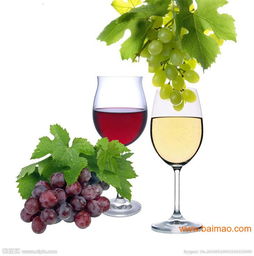 上海保稅區(qū)法國(guó)葡萄酒專業(yè)進(jìn)口報(bào)關(guān)代理服務(wù)全解析