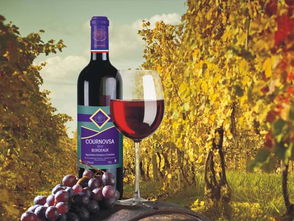 法國(guó)波爾多卡諾莎葡萄酒 融入生活的法國(guó)葡萄酒藝術(shù)